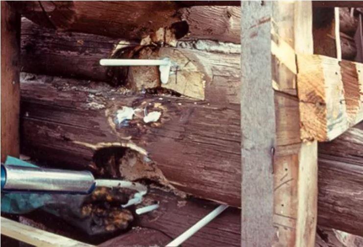 Epoxy Resin In Repair Of Timber Members