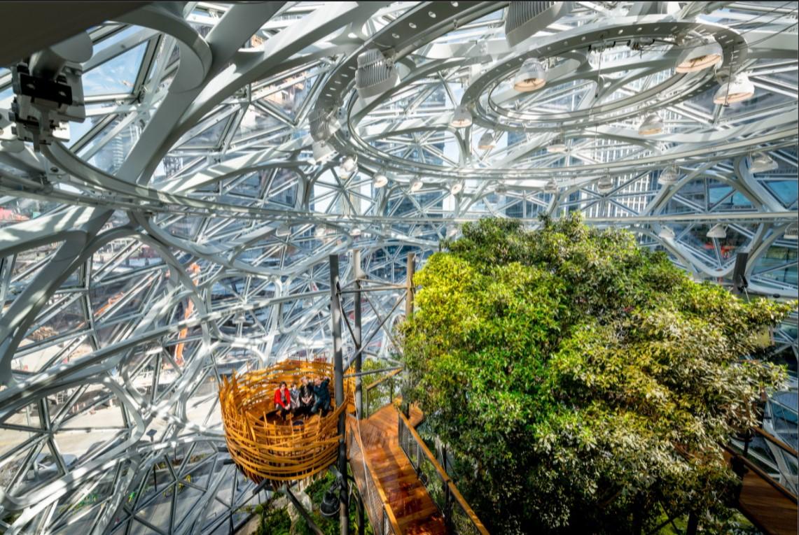 Top 5 Examples Of Biophilic Architecture