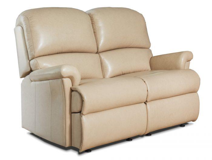 Nevada Small Leather Fixed 2-seater Settee