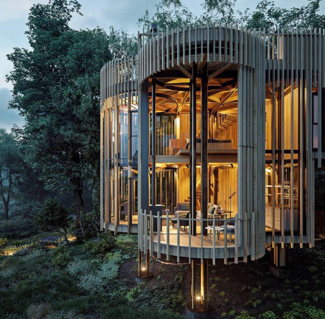 Tree House Constantia