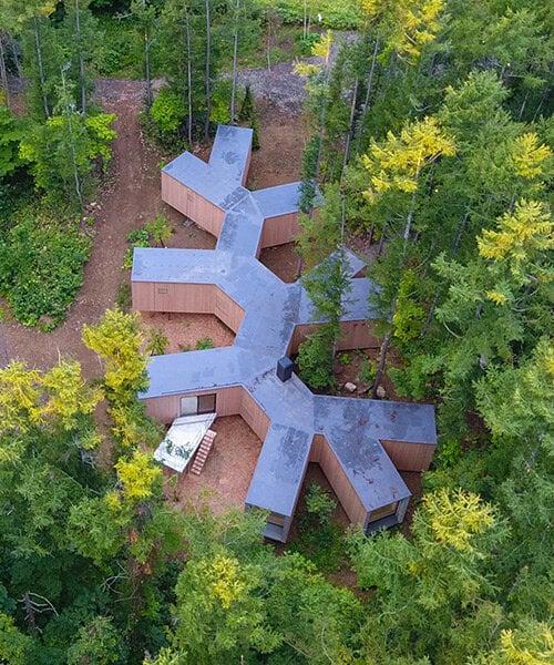 House In The Forest